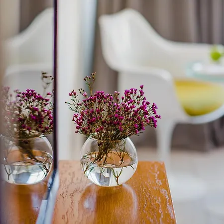 Napa Plaza (adults Only) 4*