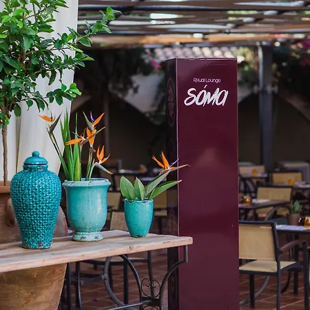 Napa Plaza (adults Only) Hotel